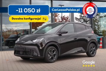 Szybki odbiór / Duży rabat / Kamera 360 / Leasing / Wynajem